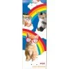 Enjoi Cool Dreams Super Sap R7 Skateboard Deck - 8.25"